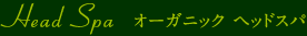 オーガニック　ヘッドスパ
